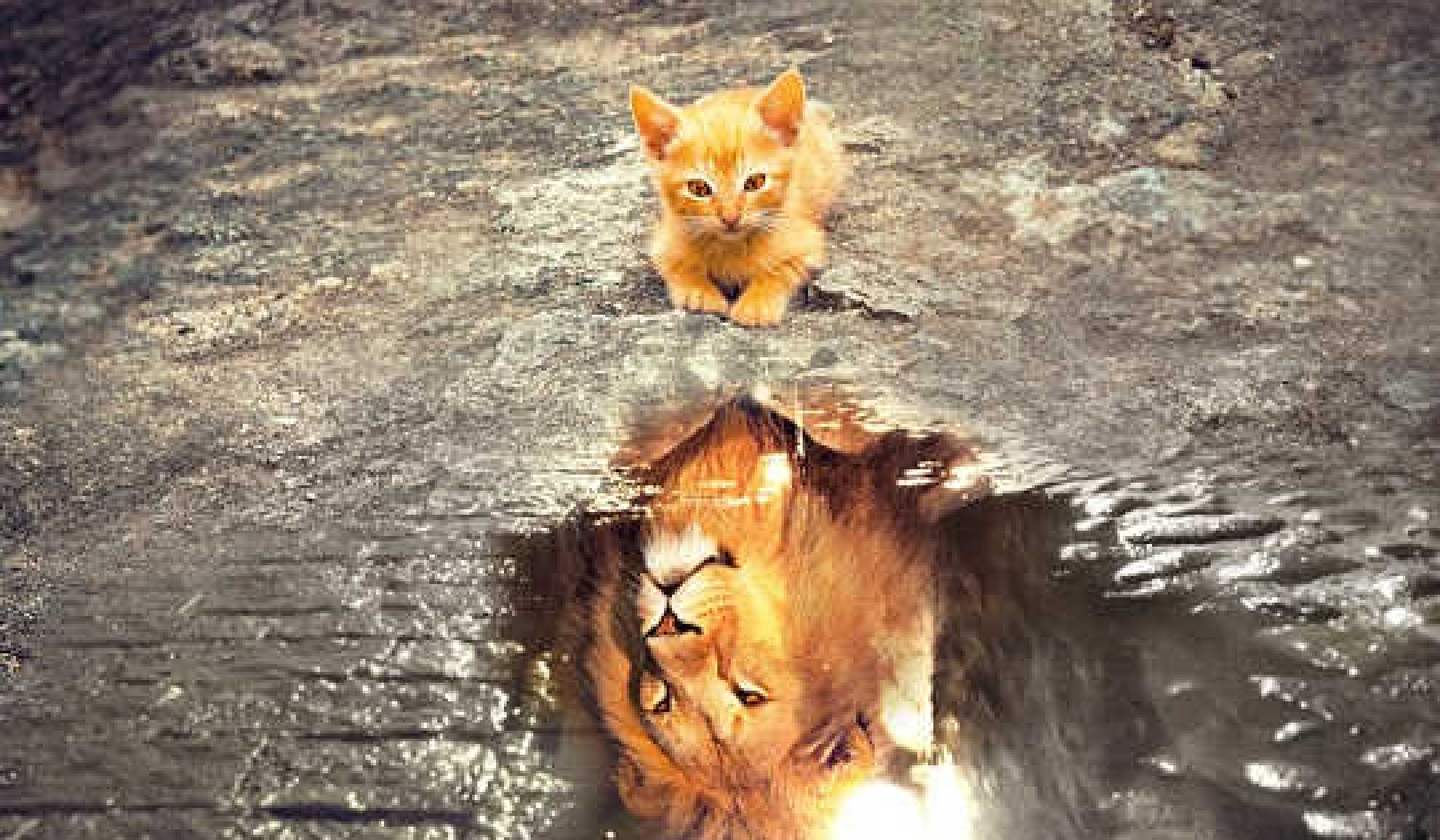 Turning Adversity into Personal Strength